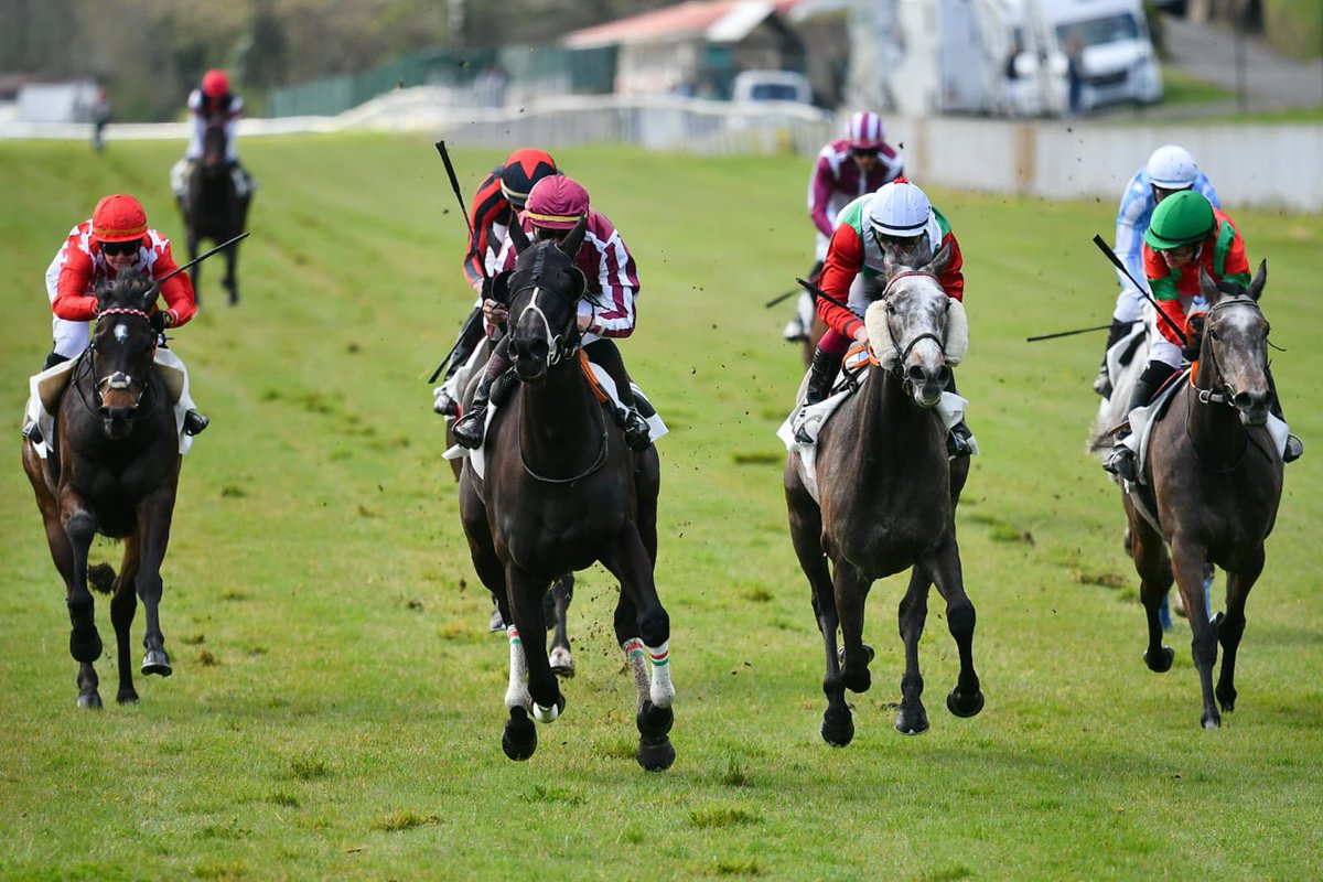 Ferdlant Stud tweet media