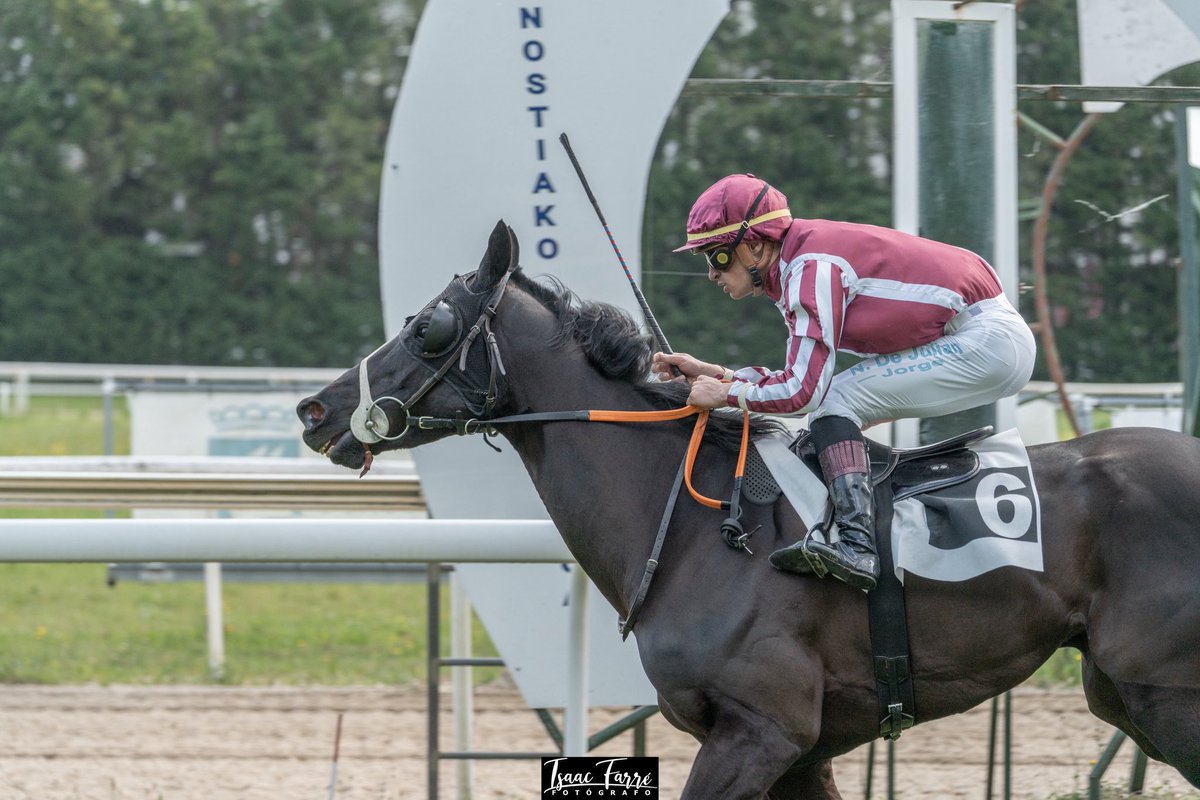 Ferdlant Stud (@ferdlantstud) on Twitter photo Black Voice bred <a href="/ferdlantstud/">Ferdlant Stud</a> wins again today in a very convincing way by leading from start to finish <a href="/SanSebRacing/">San Sebastian Racing</a> .
Congratulations to all connections <a href="/Enriquefvs/">Enrique Fernandez de Vega</a> Black Voice bred <a href="/ferdlantstud/">Ferdlant Stud</a> wins again today in a very convincing way by leading from start to finish <a href="/SanSebRacing/">San Sebastian Racing</a> .
Congratulations to all connections <a href="/Enriquefvs/">Enrique Fernandez de Vega</a>