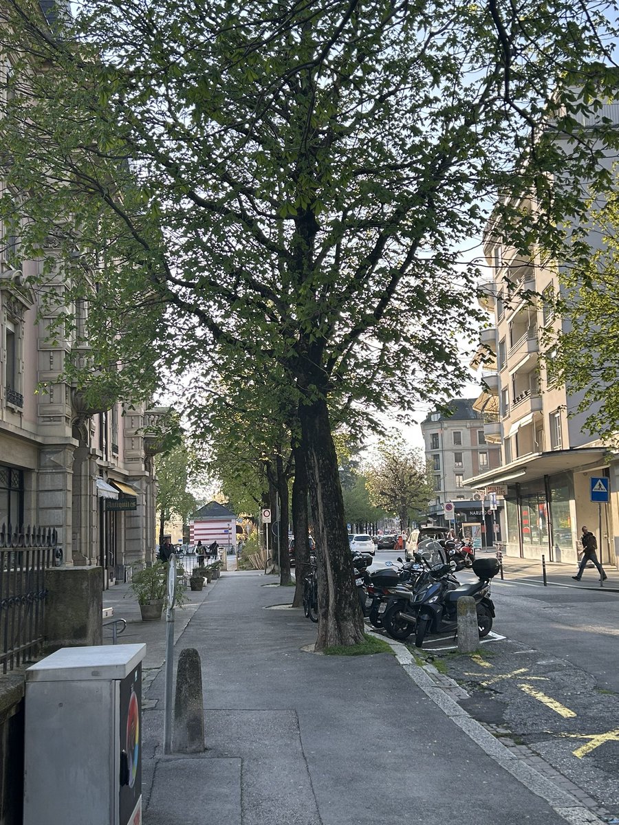 lilou ᯓ ᡣ𐭩⋆.˚ tweet media