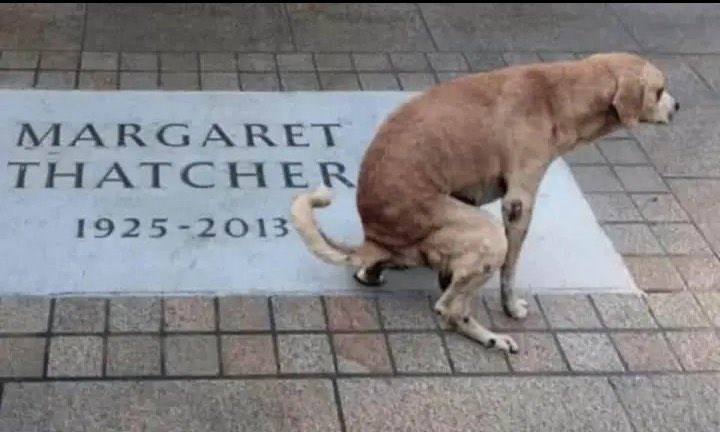 N∆CHO (@ignaciolofiego) on Twitter photo 