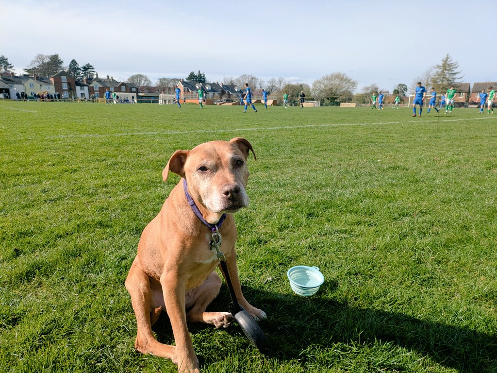 Ryan Kelly tweet media