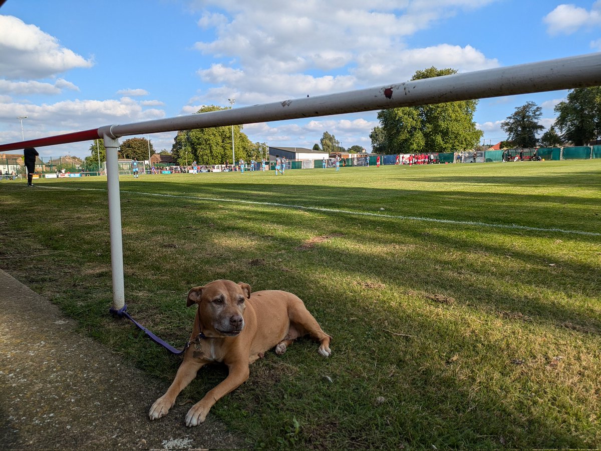 Ryan Kelly tweet media