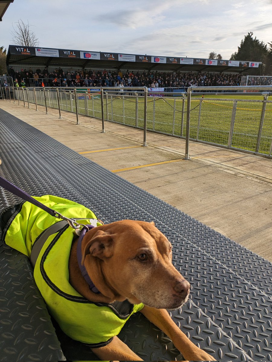 Ryan Kelly tweet media