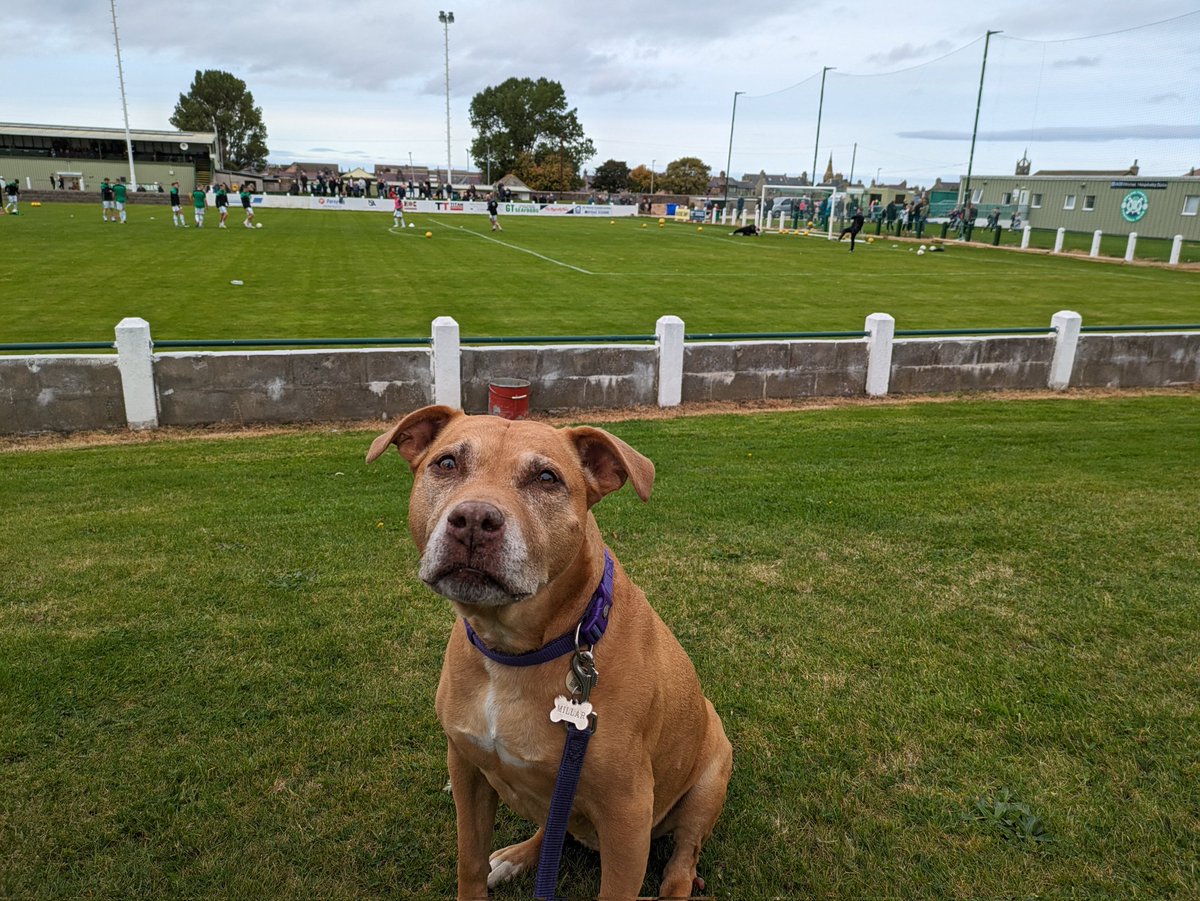 Ryan Kelly tweet media