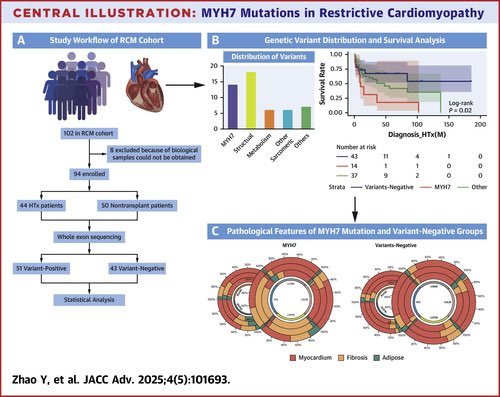 Edgardo Alania (@ed_alania) on Twitter photo 🧬MYH7 Mutations in Restrictive Cardiomyopathy <a href="/JACCJournals/">JACC Journals</a> #Cardiology #Cardioed #genetics 🧬MYH7 Mutations in Restrictive Cardiomyopathy <a href="/JACCJournals/">JACC Journals</a> #Cardiology #Cardioed #genetics
