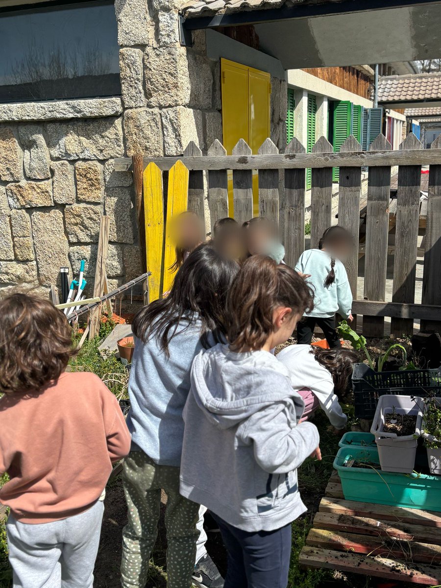 Hoy Infantil, 1° y 2°  de Primaria hemos estado trasplantando los bulbos del día de la paz.

#ceiplapradera #hacemospiñacontigo🍍 #diadelapaz