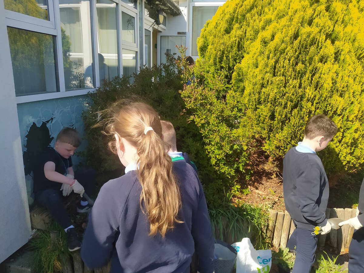 Croom National School (@croomschool) on Twitter photo Our Green Schools committee made the most of the fine weather today. We are busy weeding and cleaning up our main entrance flower and plant bed. Keep up the good work! 💚🌱 <a href="/GreenSchoolsIre/">Green-Schools</a> Our Green Schools committee made the most of the fine weather today. We are busy weeding and cleaning up our main entrance flower and plant bed. Keep up the good work! 💚🌱 <a href="/GreenSchoolsIre/">Green-Schools</a>