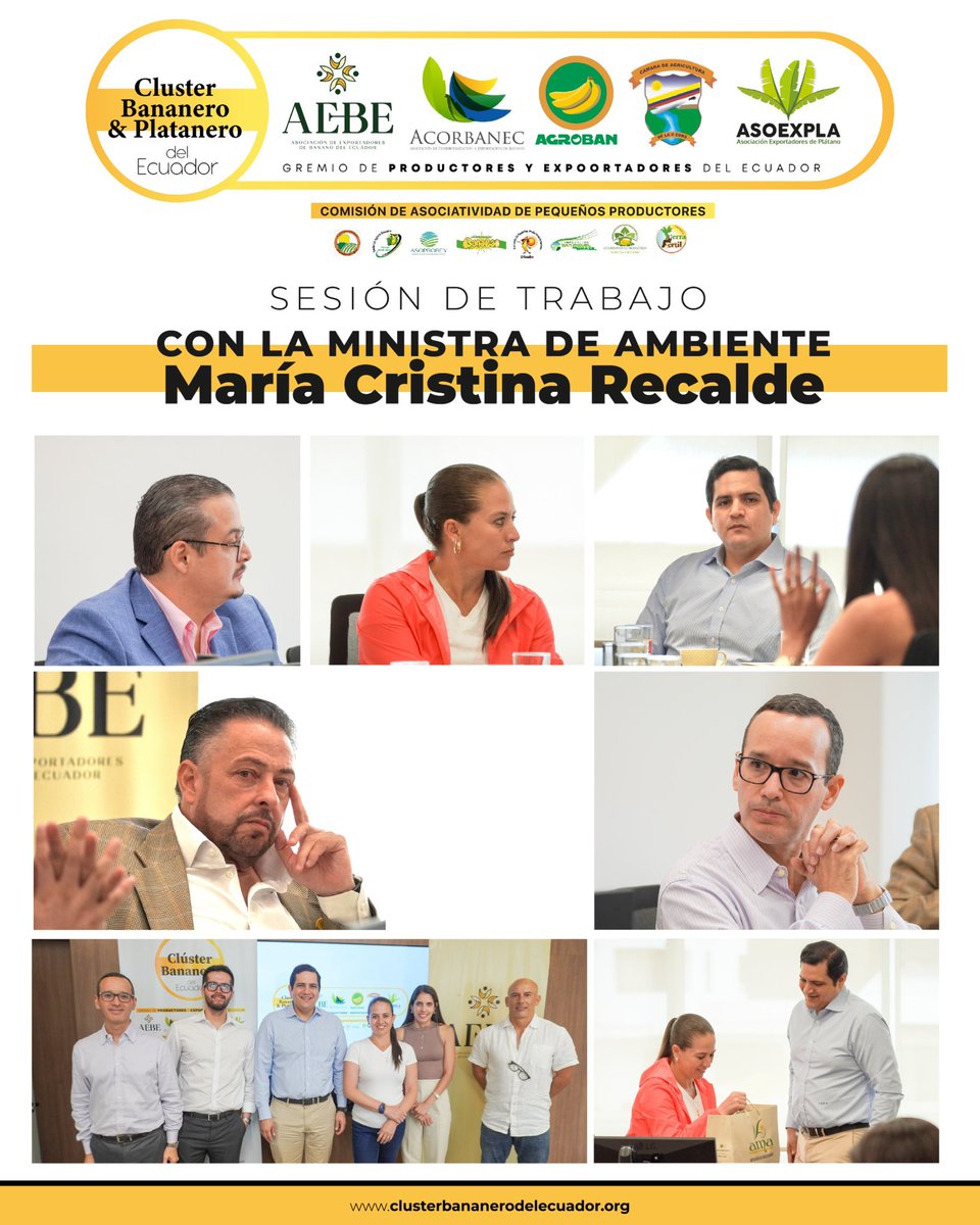 Clúster Bananero del Ecuador (@clusterbananero) on Twitter photo Como Cluster Bananero y Platanero del Ecuador, mantuvimos una reunión trabajo con la ministra de <a href="/Ambiente_Ec/">Min. de Ambiente, Agua y Transición Ecológica 🇪🇨</a>  María Cristina Recalde para abordar temas estratégicos que fortalecen la sostenibilidad de nuestro sector.
<a href="/acorbanec/">Acorbanec</a> <a href="/AgrobanEC/">AGROBAN</a> <a href="/asoexpla/">ASOEXPLA - Asociación Exportadores de Plátano</a> Como Cluster Bananero y Platanero del Ecuador, mantuvimos una reunión trabajo con la ministra de <a href="/Ambiente_Ec/">Min. de Ambiente, Agua y Transición Ecológica 🇪🇨</a>  María Cristina Recalde para abordar temas estratégicos que fortalecen la sostenibilidad de nuestro sector.
<a href="/acorbanec/">Acorbanec</a> <a href="/AgrobanEC/">AGROBAN</a> <a href="/asoexpla/">ASOEXPLA - Asociación Exportadores de Plátano</a>