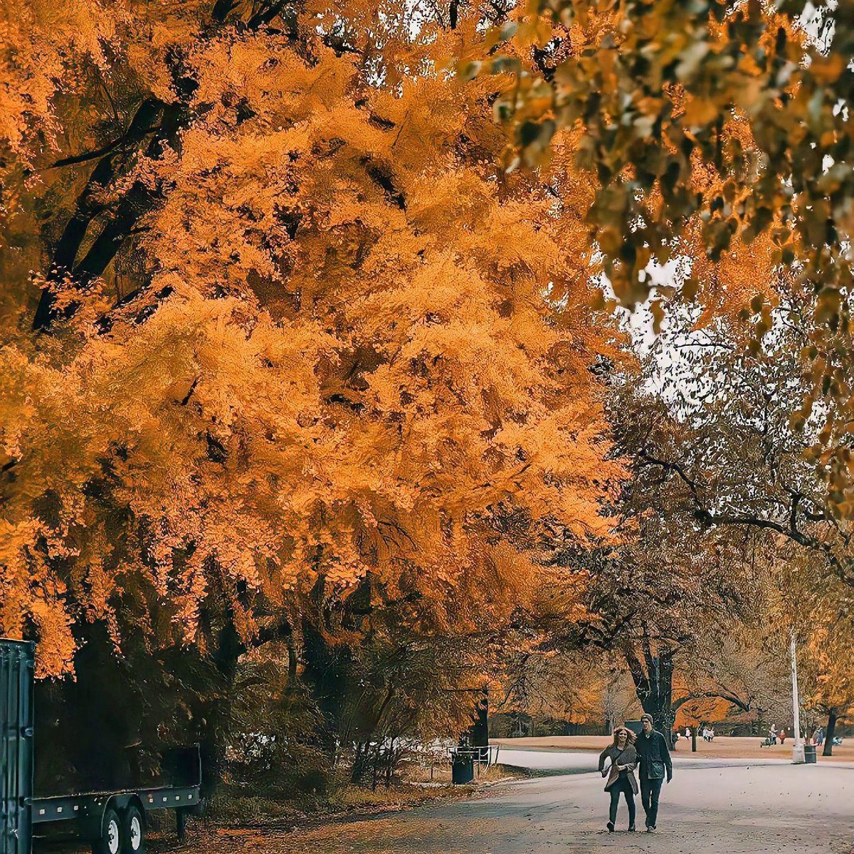 Autumn dusk is a spilled palette of warm hues