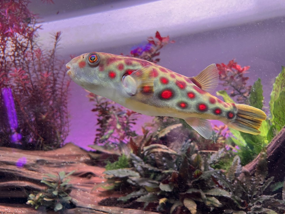 beefstew tweet media