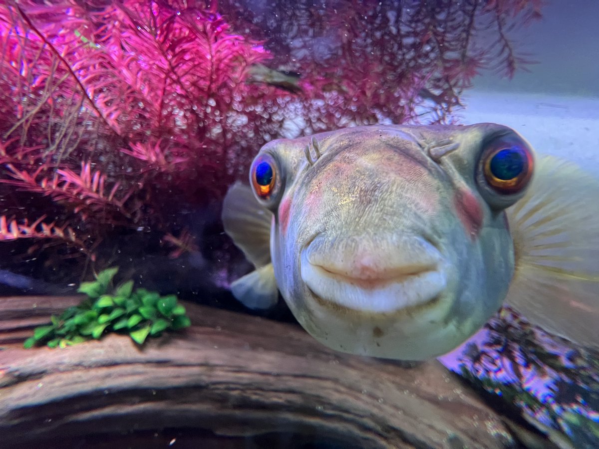 beefstew tweet media