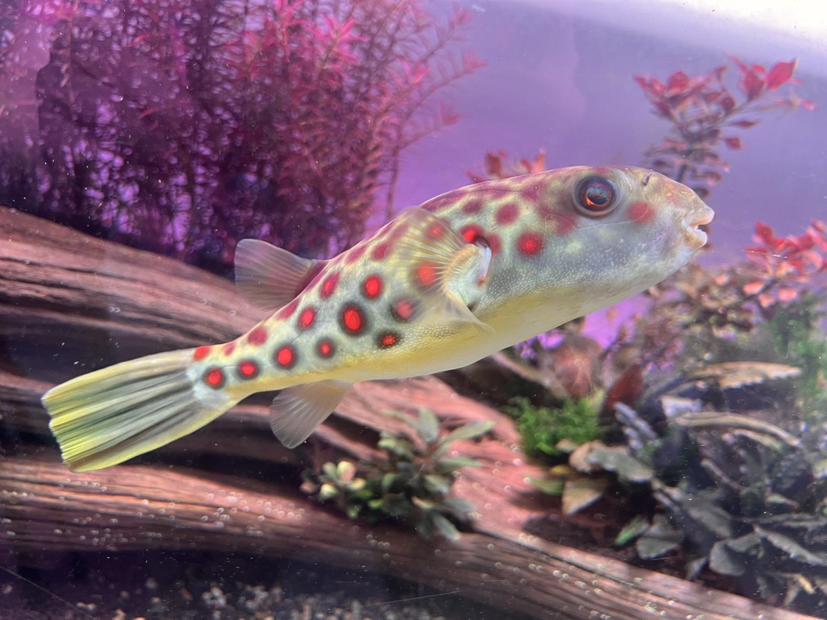 beefstew tweet media