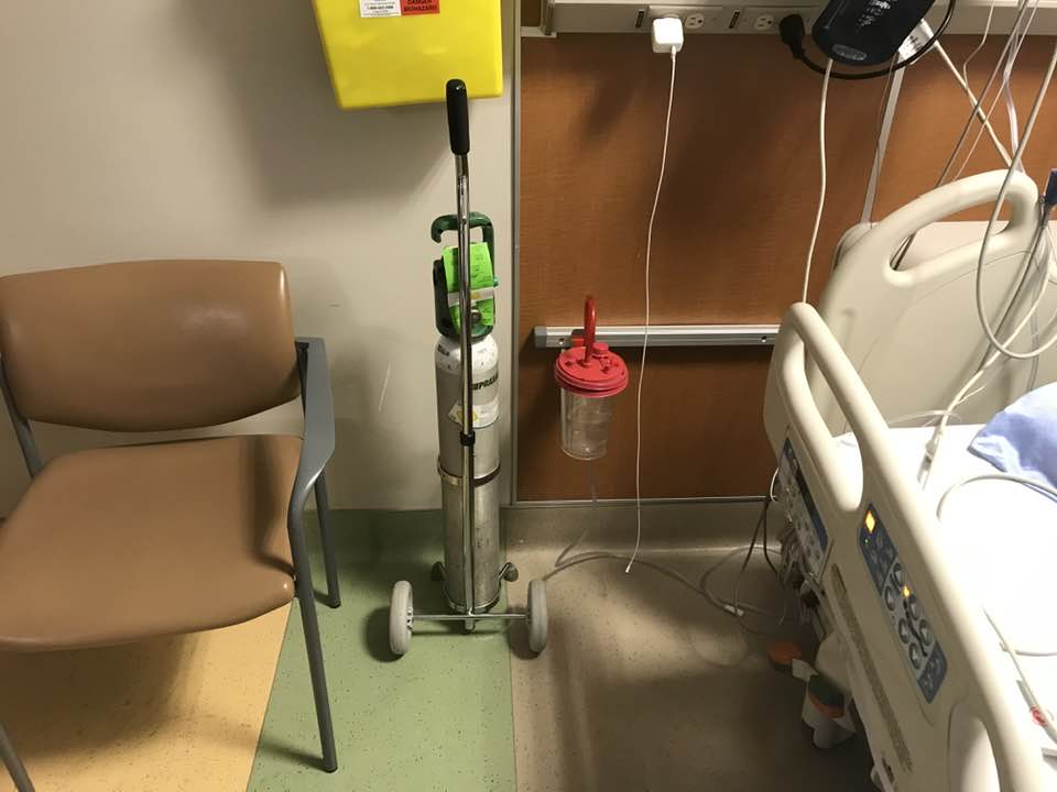 Magic Beans 🐿️ tweet media