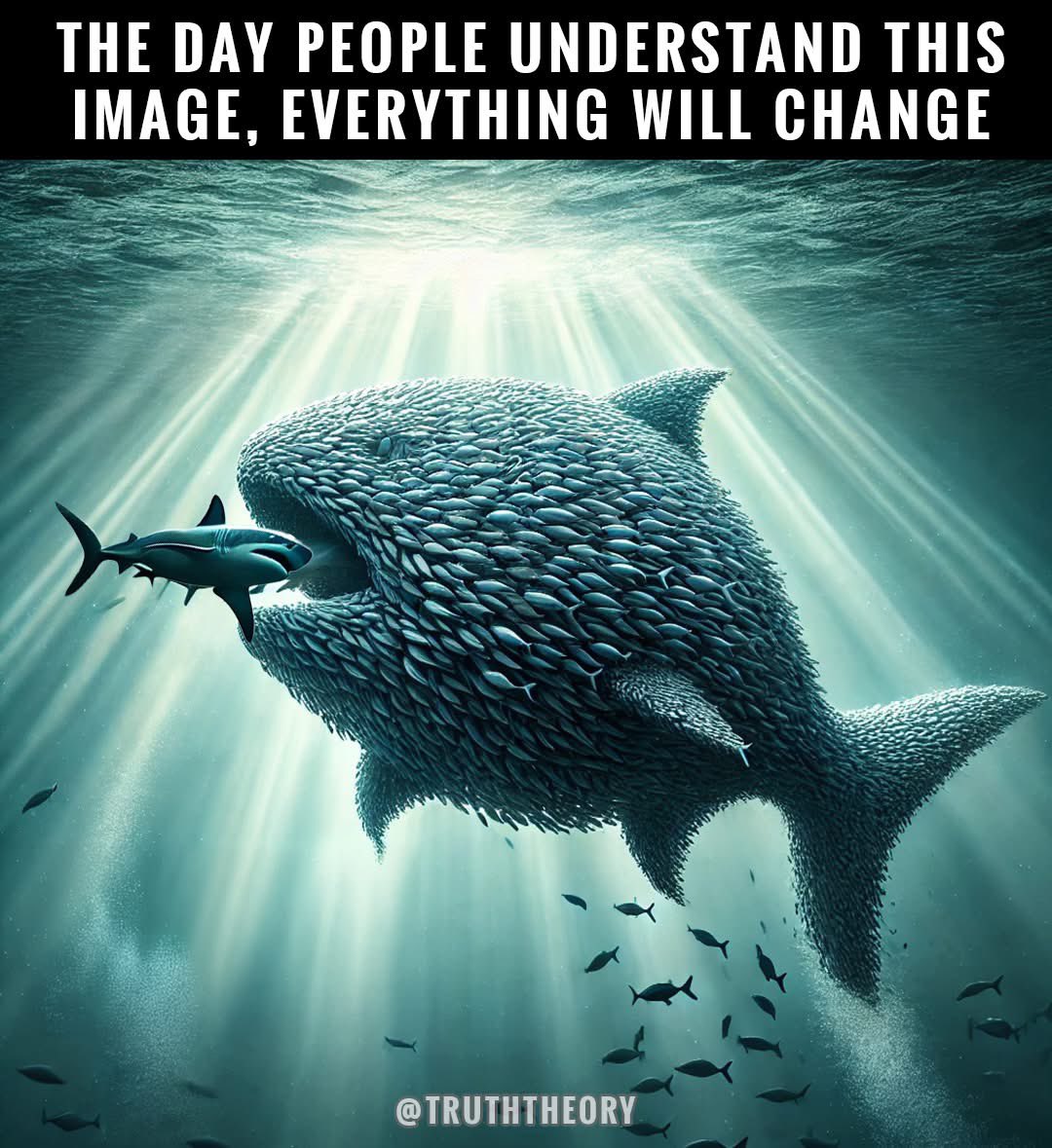 johnis44's tweet image. We the people have more power than the people in power.
