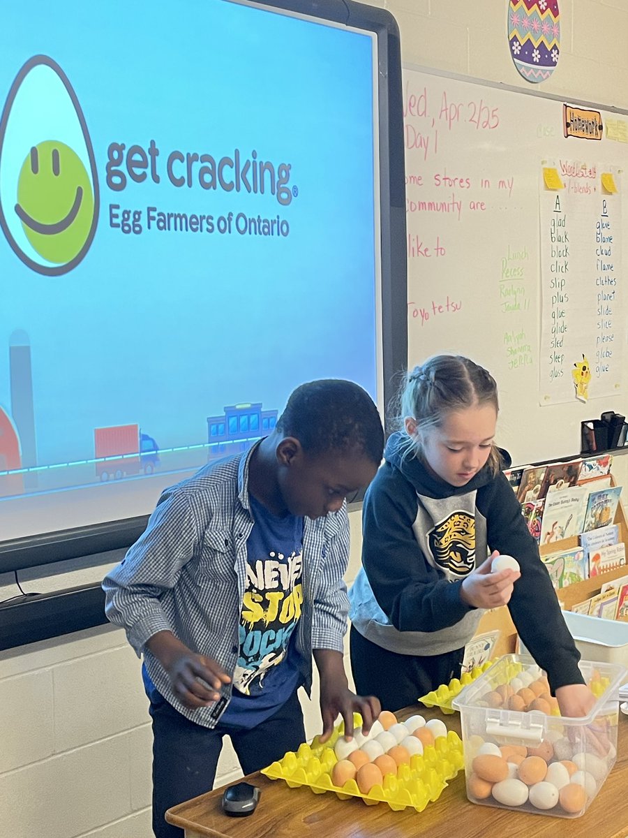 MrsGreensClass_'s tweet photo. Thank you to Egg Farmer Joanne for teaching our Gr.2/3s about egg nutrition! 🥚🍳! @stjcatholic #getcracking https://t.co/GU91TBgSRu