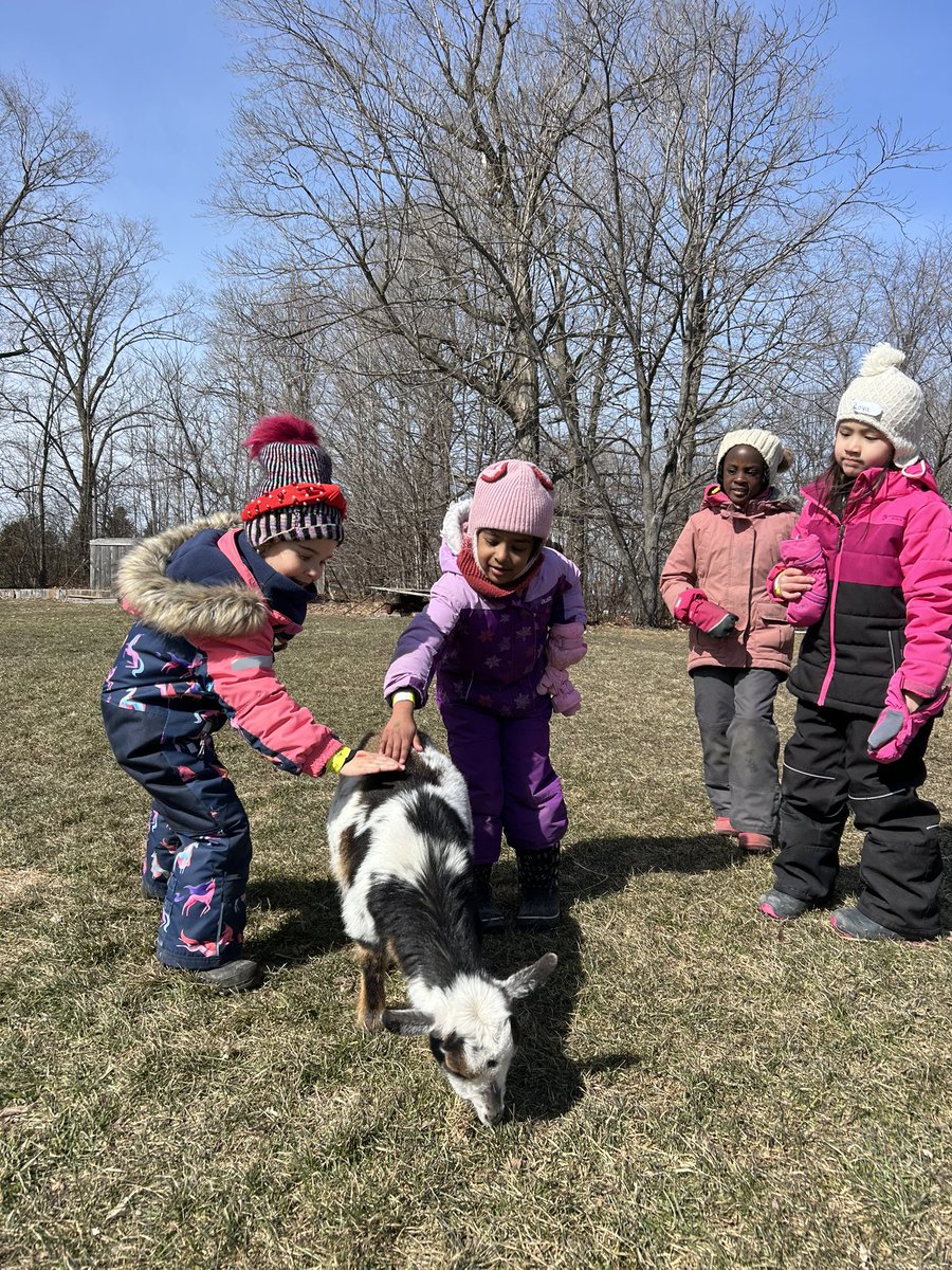 Robyn Matheson (@mrsrmatheson) on Twitter photo So much fun Proulx farm learning how to make maple syrup, eating pancakes and visiting the animals! <a href="/StGiannaOCSB/">St. Gianna OCSB</a> So much fun Proulx farm learning how to make maple syrup, eating pancakes and visiting the animals! <a href="/StGiannaOCSB/">St. Gianna OCSB</a>