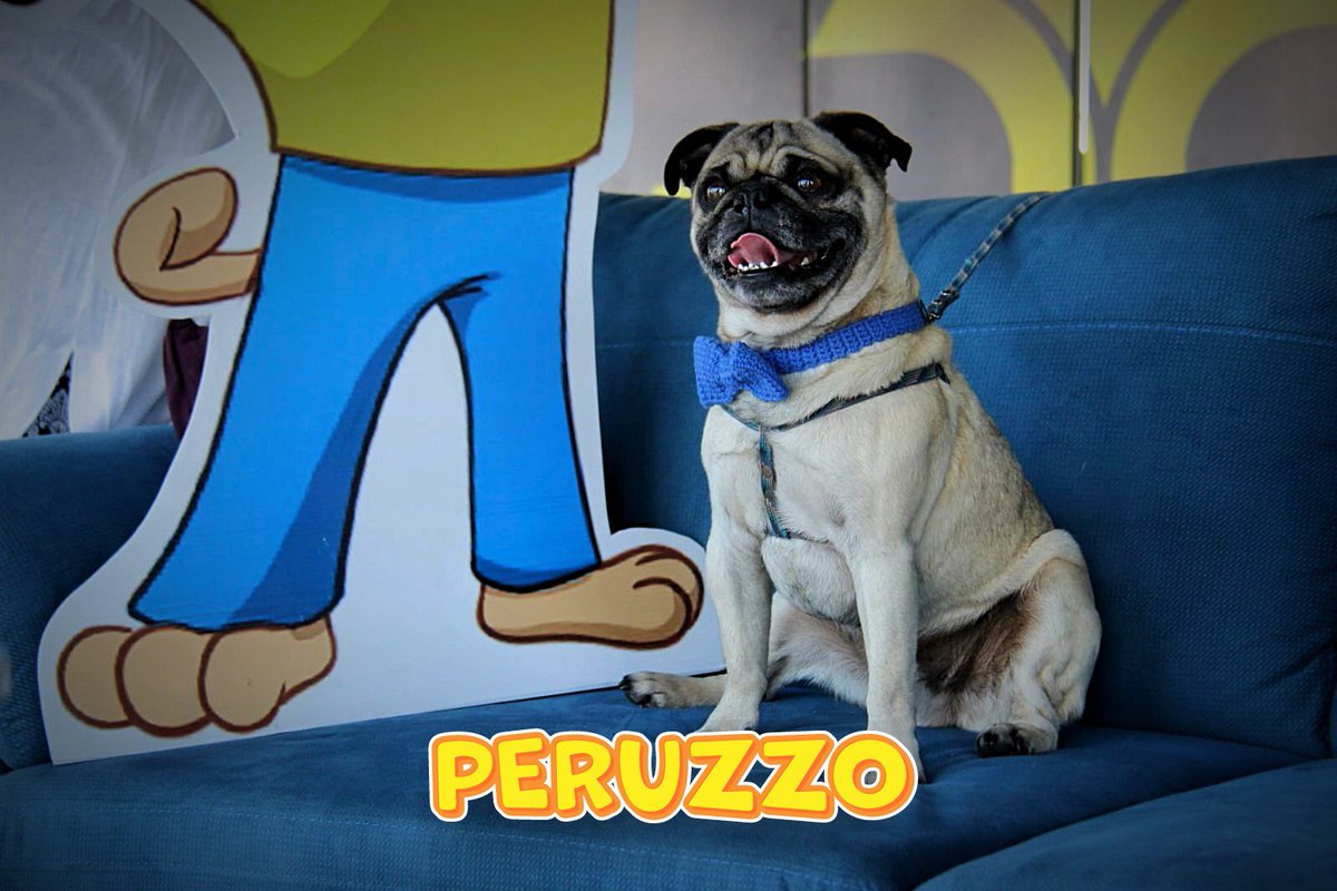 ¡Guau, guau, hola a todos los increíbles humanos de nuestra comunidad universitaria!  Soy su amigo de cuatro patas "PERUZZO", su compañero peludo, ¡y hoy quiero ladrarles un muy feliz día!