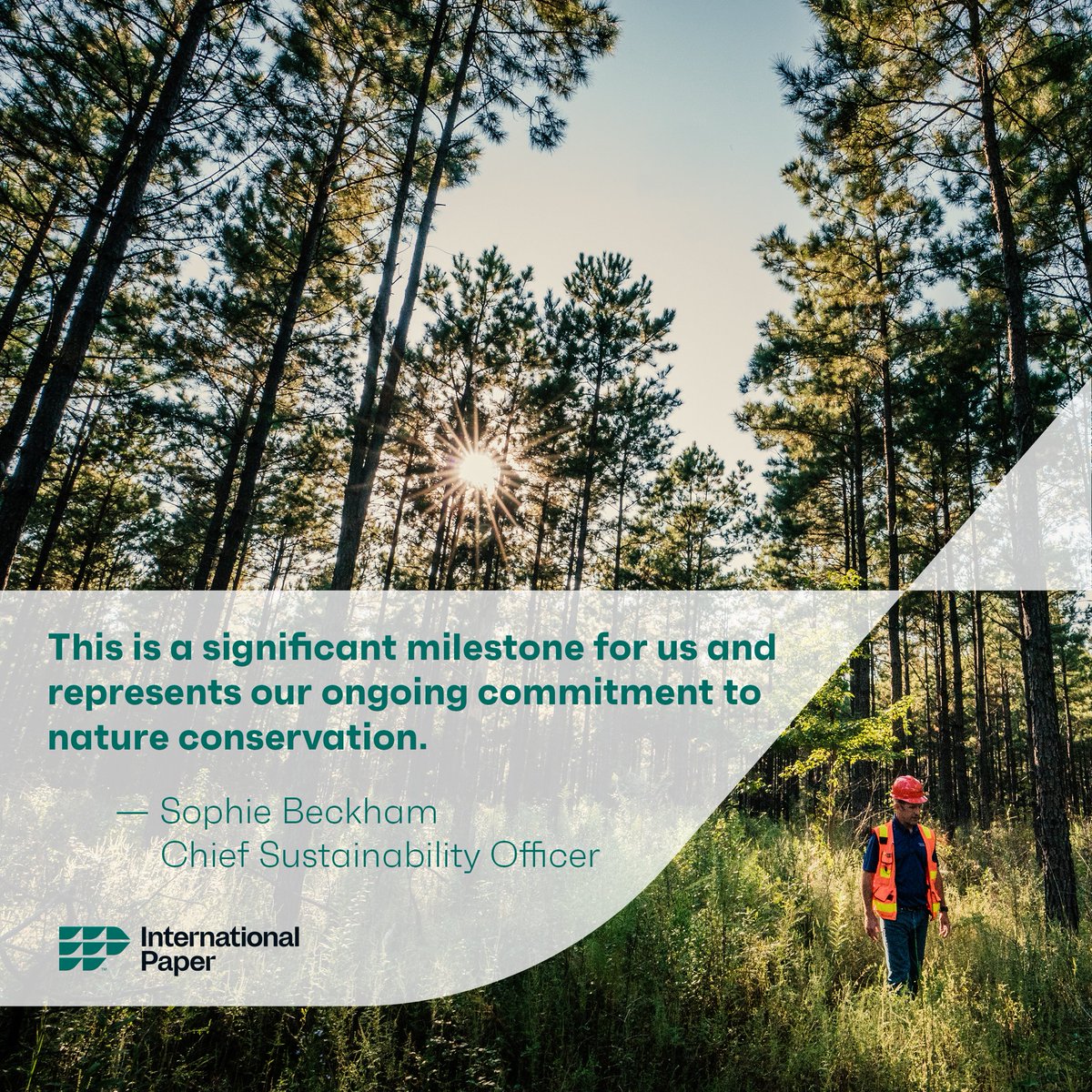 International Paper (@intlpaperco) on Twitter photo 🌲🌲🌲In 2020, we set a target to conserve and restore 1,000,000 acres of ecologically significant forestland by 2030. Today, we are thrilled to report that we have surpassed that goal – six years early – by restoring nearly 1,158,000 acres. 🥳 See more of our 2024 sustainability 🌲🌲🌲In 2020, we set a target to conserve and restore 1,000,000 acres of ecologically significant forestland by 2030. Today, we are thrilled to report that we have surpassed that goal – six years early – by restoring nearly 1,158,000 acres. 🥳 See more of our 2024 sustainability