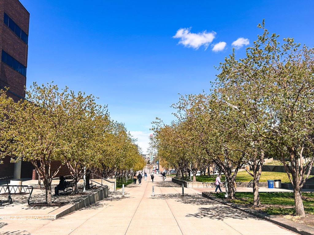 Spring looks good on Auraria Campus. 🫶