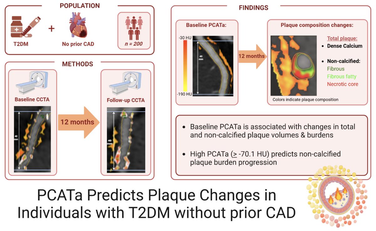 🎯 To evaluate whether baseline PCATa predicts changes in plaque composition/burden over 12 months in DM pts.

👥Prospective longitudinal study including 200 T2DM pts, without symptoms or known CAD (mean age 61 ± 9.4 yrs, 72% male). 

📌High PCATa levels were determined using the