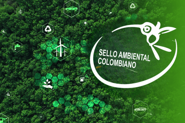 Catorce 6 tweet media