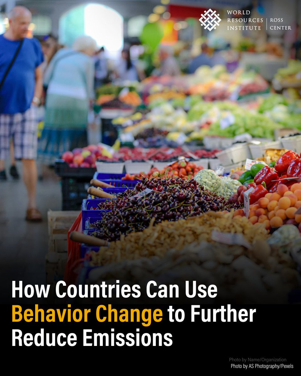 WRIRossCities's tweet image. 🚗 80% of top emitting nations promote EVs
🚌 75% push public transport
🏠 60% target home energy use

But only 1 country promotes sustainable diets and 0 address air travel - ignoring key #BehaviorChanges that could unlock deeper emissions cuts.

Details: bit.ly/4eHqu3G