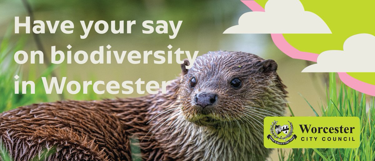 Worcester City Council is calling for residents and businesses to have a say on its plan to boost nature.
The Council’s Biodiversity Strategy aims to put in place measures which will aid the city’s wildlife for years to come. 
Read more here 👉worcester.gov.uk/news/have-your…
#Worcester
