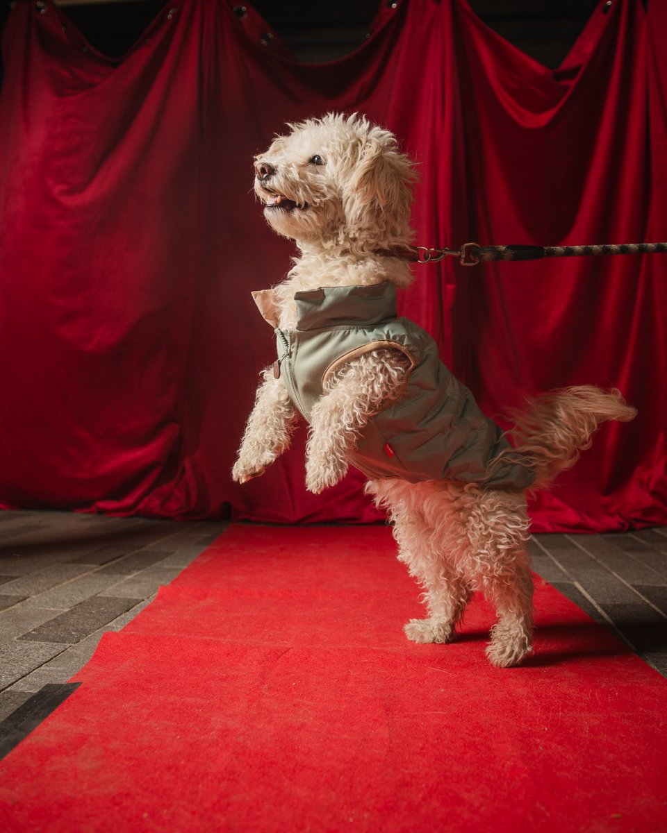 Mazuba Kapambwe- Mizzi tweet media