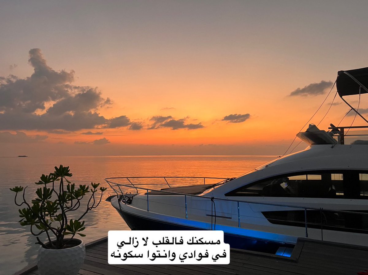 Baz3etalshams's tweet photo. https://t.co/gtbJUvNtp9