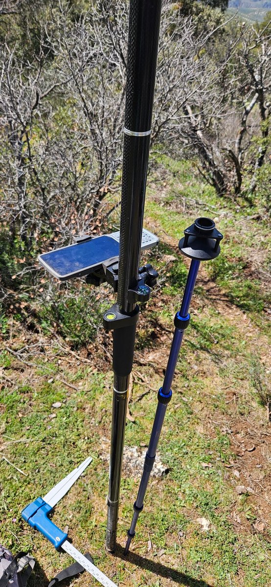 <a href="/DELAFORESTA/">DELAFORESTA</a> avanza en #Inventarioforestal de #montespúblicos de <a href="/MedioAmbAND/">Consejería de Sostenibilidad y Medio Ambiente</a> en #Sierramágina. Hoy en Matabegid #Cambil.