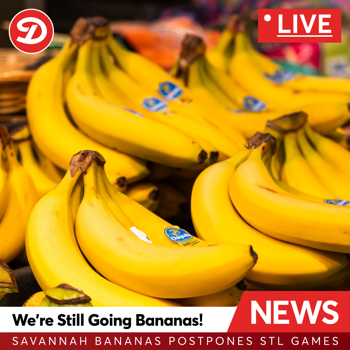Dierbergs Markets (@dierbergs) on Twitter photo We heard <a href="/TheSavBananas/">Savannah Bananas</a> are rescheduling, but don’t worry, our bananas are always in stock! 🍌⚾ Grab a bunch & practice your best trick plays. #BananaBackups #SavannahBananas #Dierbergs We heard <a href="/TheSavBananas/">Savannah Bananas</a> are rescheduling, but don’t worry, our bananas are always in stock! 🍌⚾ Grab a bunch & practice your best trick plays. #BananaBackups #SavannahBananas #Dierbergs