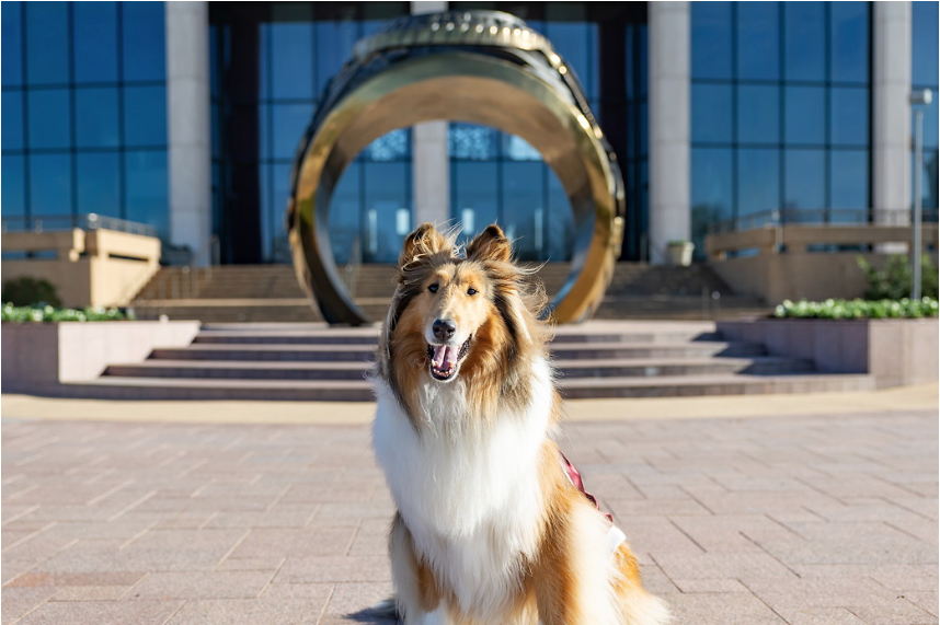 reveille's tweet image. Congratulations to all of my Aggies getting their gold! I could not be prouder of each one of you! 👍❤️💍