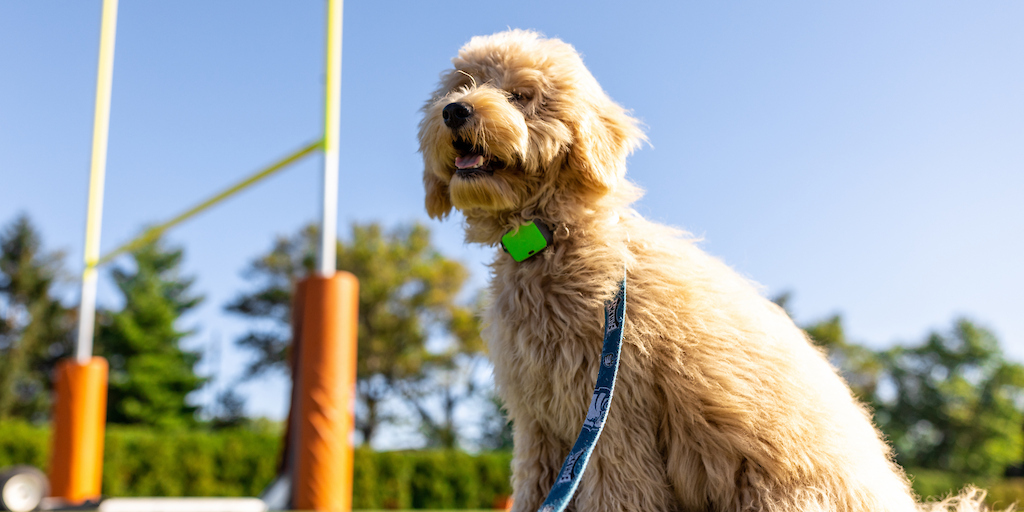 Philadelphia Eagles tweet media