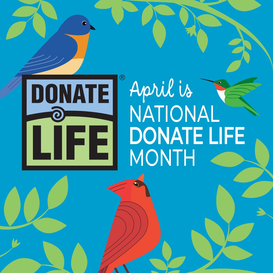 Michigan Department of State (@michsos) on Twitter photo This National Donate Life Month, join us in helping to save and heal lives – register your decision to be an organ, eye and tissue donor at RegisterMe.org and share your decision with your family and community! 💙💚 <a href="/GiftofLifeMich/">Gift of Life Michigan</a> This National Donate Life Month, join us in helping to save and heal lives – register your decision to be an organ, eye and tissue donor at RegisterMe.org and share your decision with your family and community! 💙💚 <a href="/GiftofLifeMich/">Gift of Life Michigan</a>