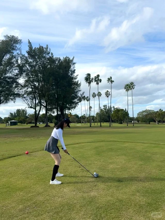 Una Daugherty (@udaugherty62804) on Twitter photo 