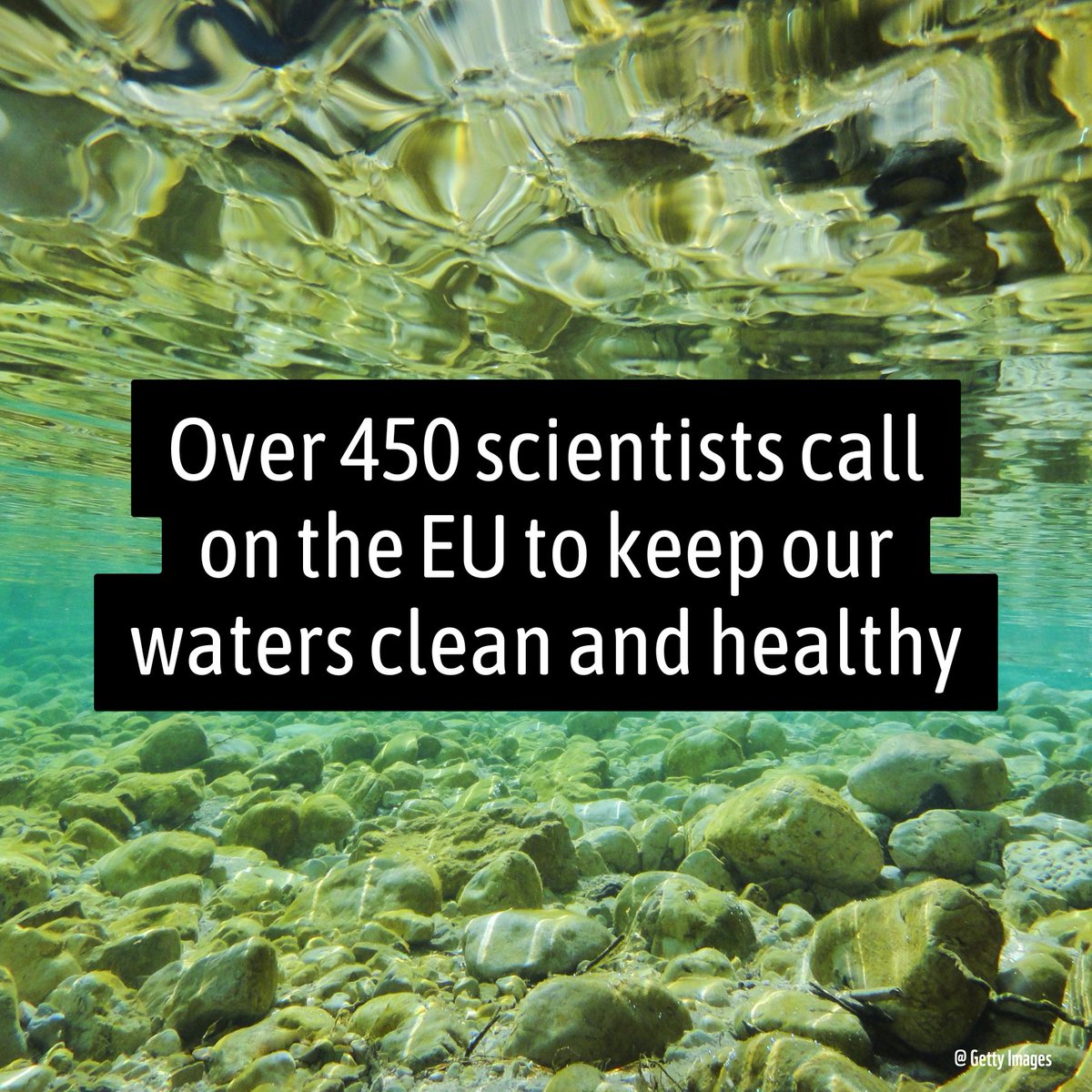 freshwaterbio's tweet photo. Over 450 scientists are urgently calling on the EU to keep our waters clean & healthy.
The scientists' statement on EU water pollution standards urges @EU_Commission, Member States & @Europarl_EN to prioritise #freshwaters & address #waterpollution today!
https://t.co/c5p5nlrV7h https://t.co/ybY8tQpry6