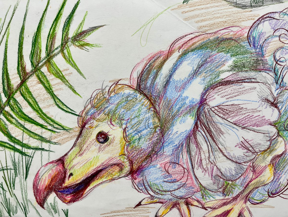 Mrs. Provow tweet media