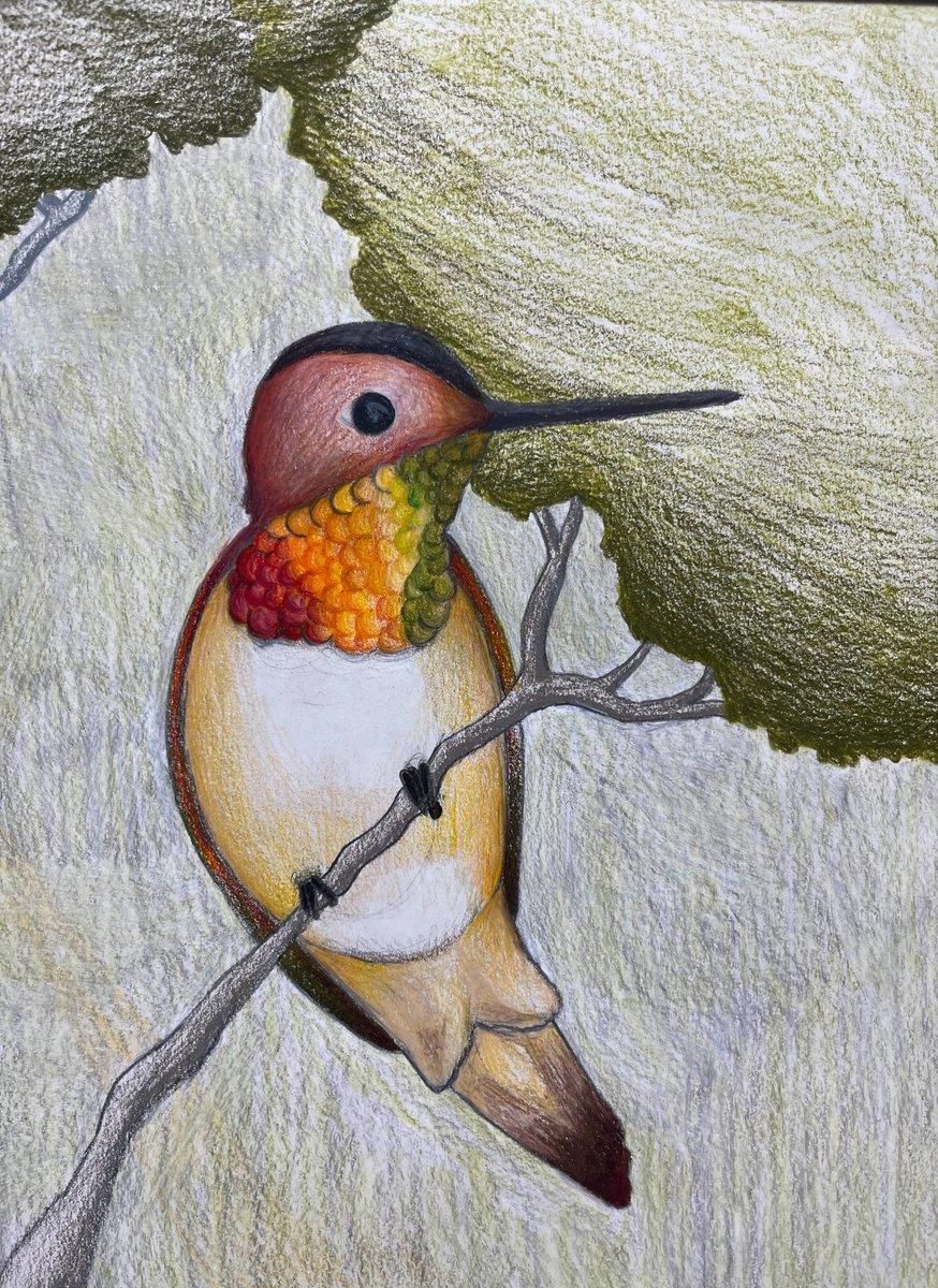 Mrs. Provow tweet media