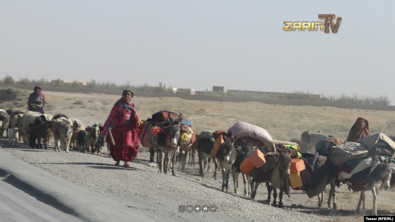 کمک ۸.۶ میلیون دالری هالند به مالداران افغان