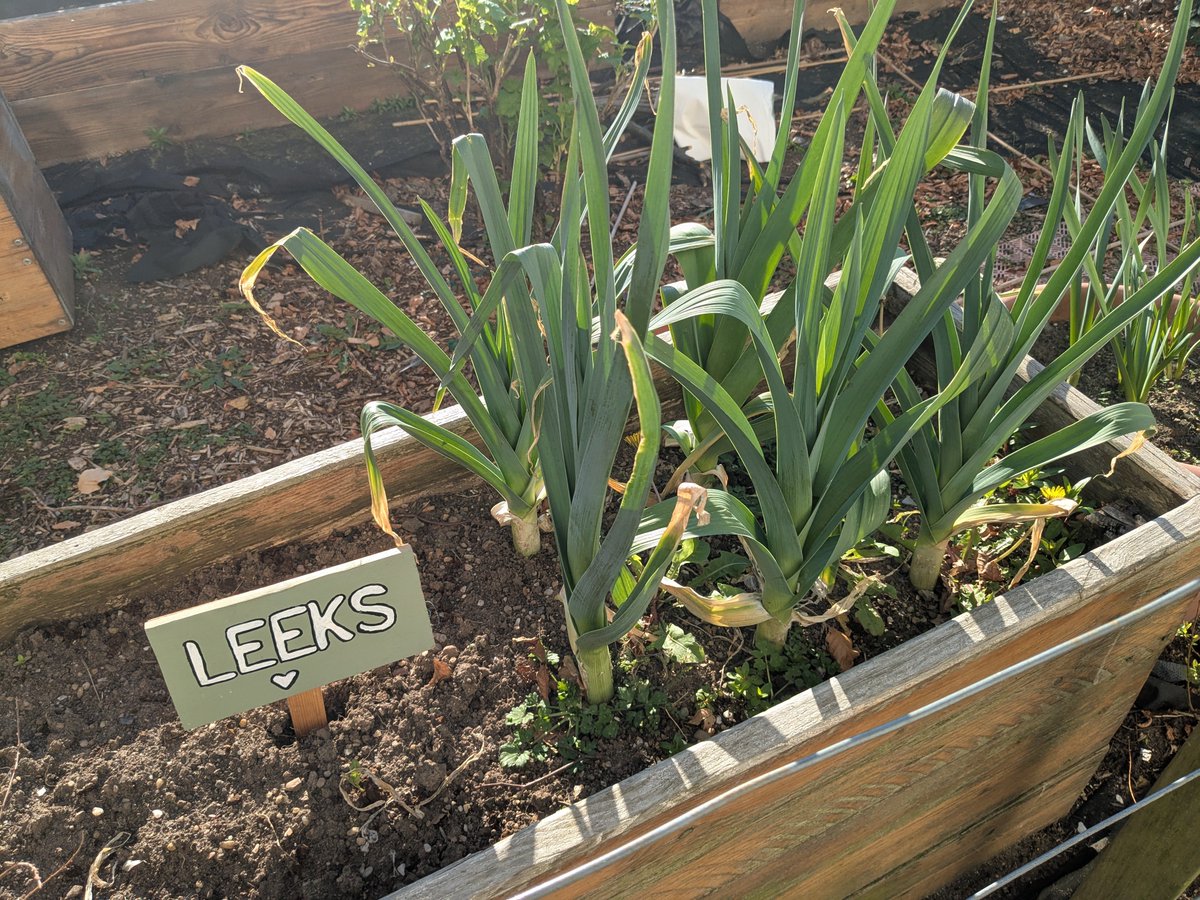 Pupil Support tweet media