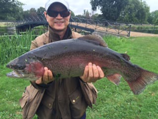 What a cracking fish.
I hope you all enjoyed the fishing at Syon and take away great memories 🎣