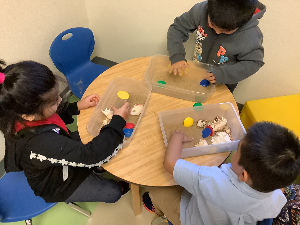 Pierce ECS (@pierceecpandas) on Twitter photo <a href="/PierceECPandas/">Pierce ECS</a> are diving into ocean animal learning at the library today! Theyโre also building sandcastles, exploring water, and getting creative with sand and shells! <a href="/IrvingLibraries/">IISD Libraries</a> <a href="/PierceECPandas/">Pierce ECS</a> are diving into ocean animal learning at the library today! Theyโre also building sandcastles, exploring water, and getting creative with sand and shells! <a href="/IrvingLibraries/">IISD Libraries</a>