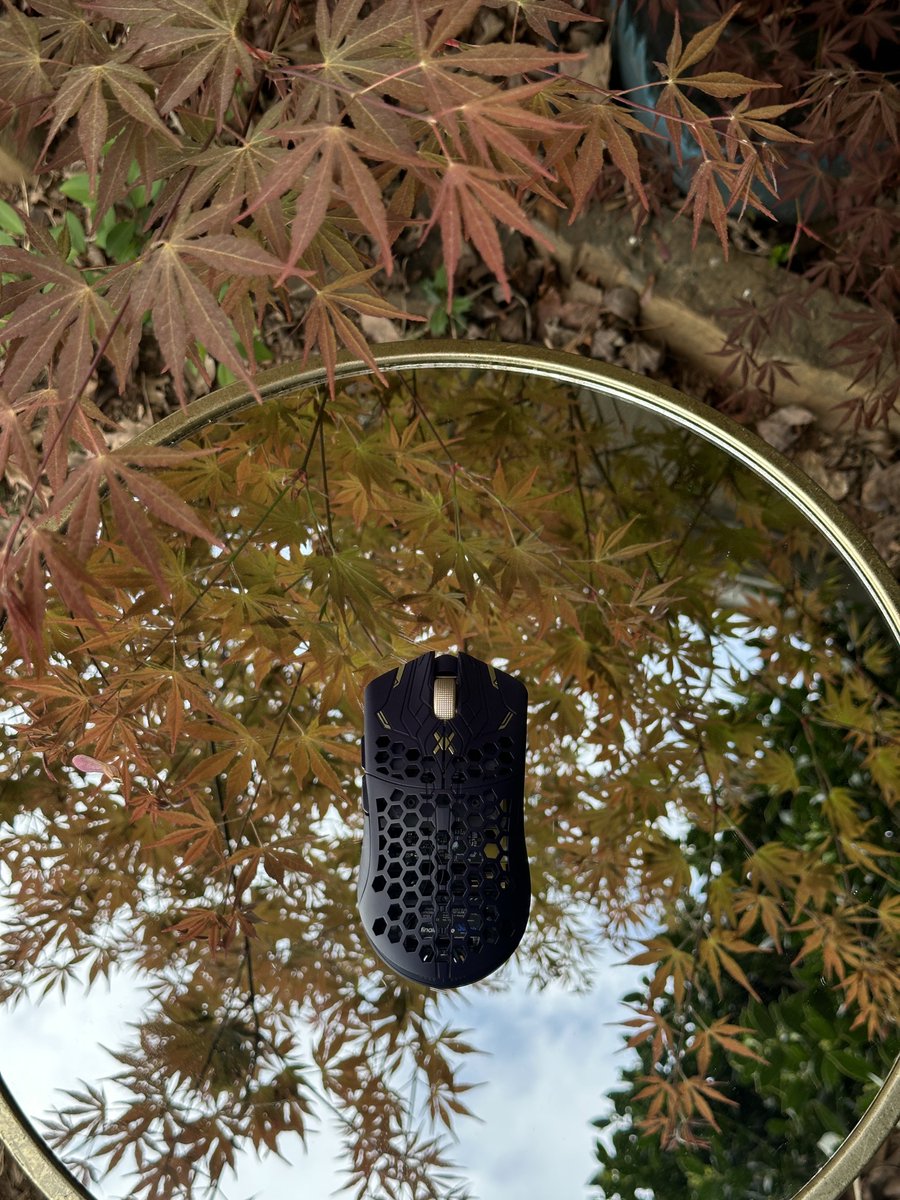 εuphoria tweet media