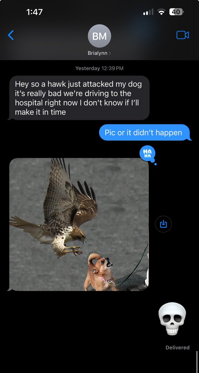 Arianna Bulthuis tweet media