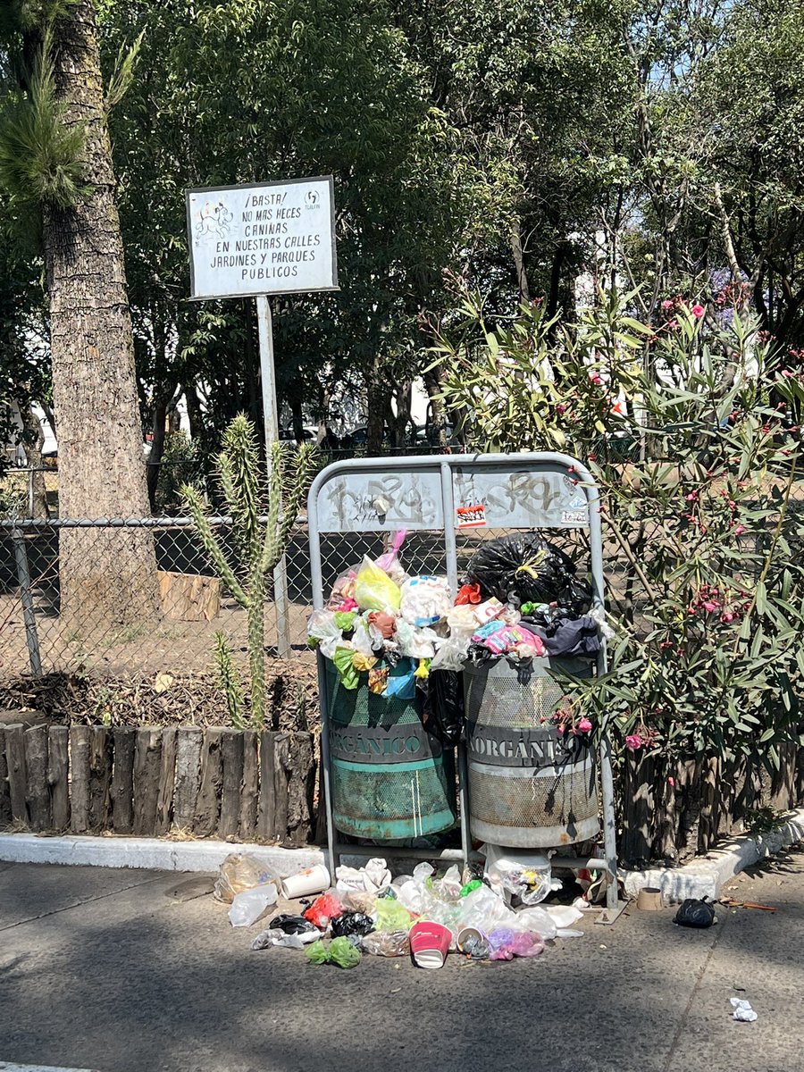 rymcuevas's tweet photo. @TlalpanVecinos @TlalpanAl @DanyAlvarezca @ParqCuauhtemoc @Gabyosoriohdz Parque Cuauhtemoc Col. Toriello Guerra nuevamente sin recolección de basura. Una falta de respeto para todos los vecinos. Adultos mayores ejercitándose a un lado del basurero. https://t.co/KrGpr4mB35