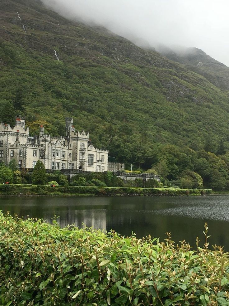 aestheticwabi's tweet image. 