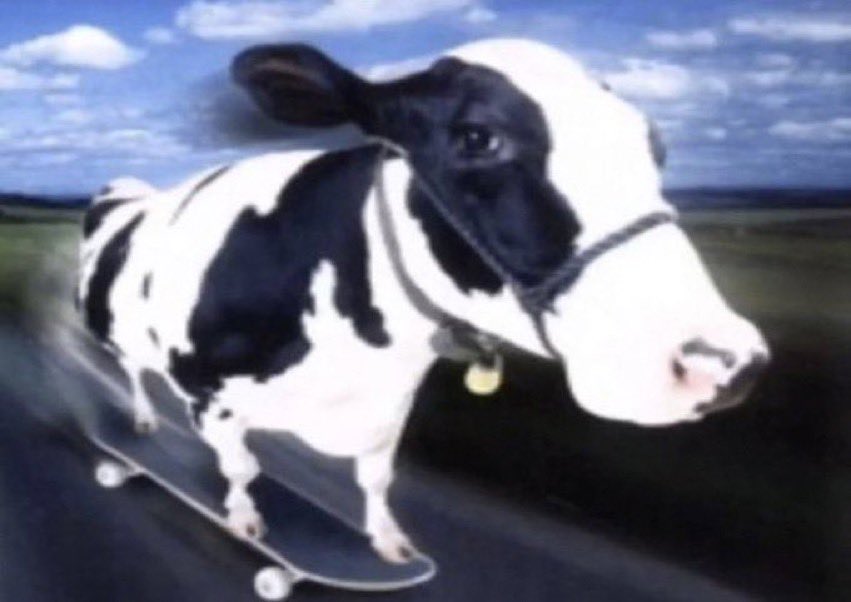 DoM_BNMT's tweet image. "goomba cant be in mario kart he has no arms!"
the amazing moomoo cow: