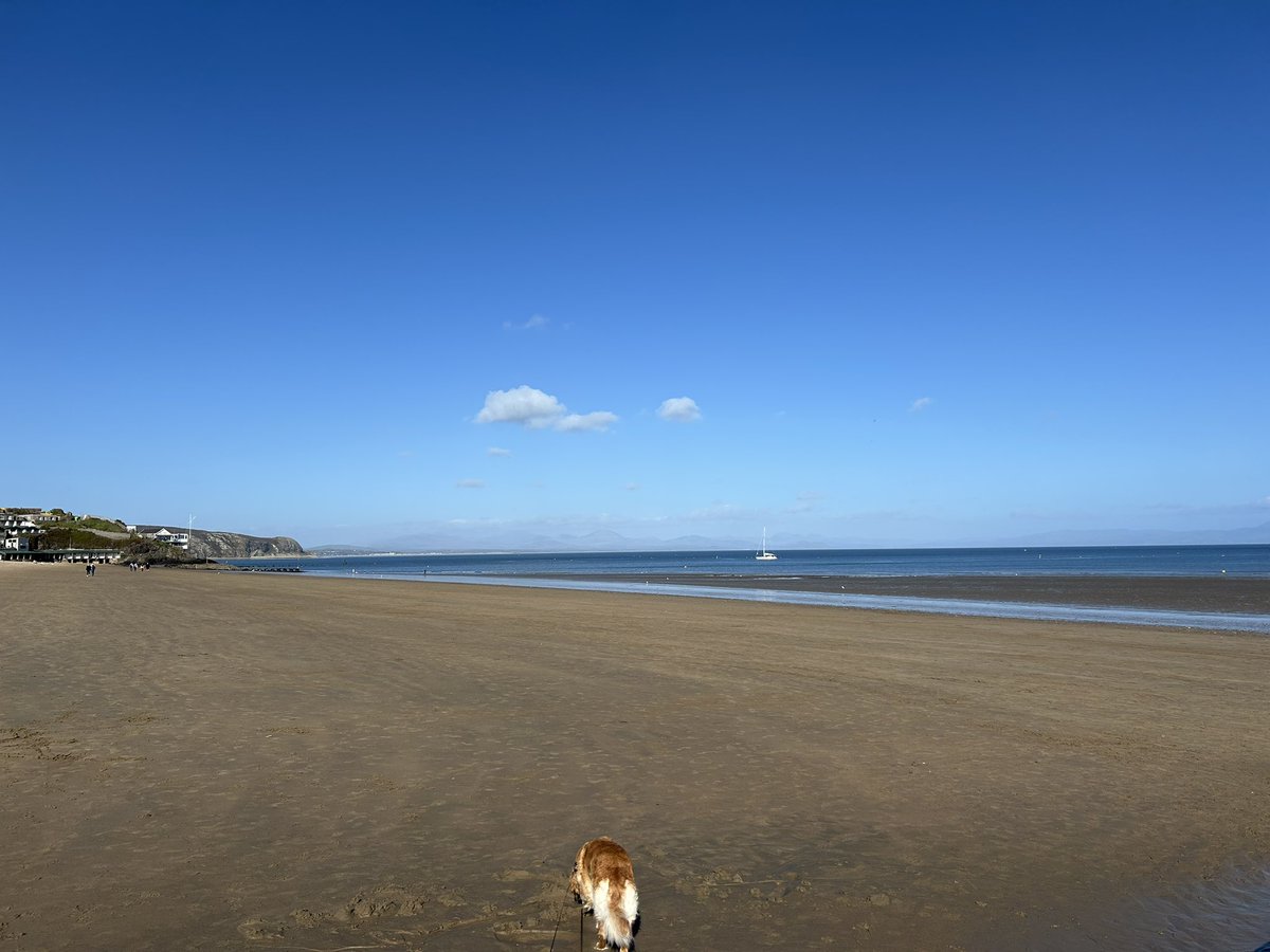 KSmith6703's tweet photo. Abersoch life … just me, my dog and a sailing boat ❤️ https://t.co/lKHNpNYuPe