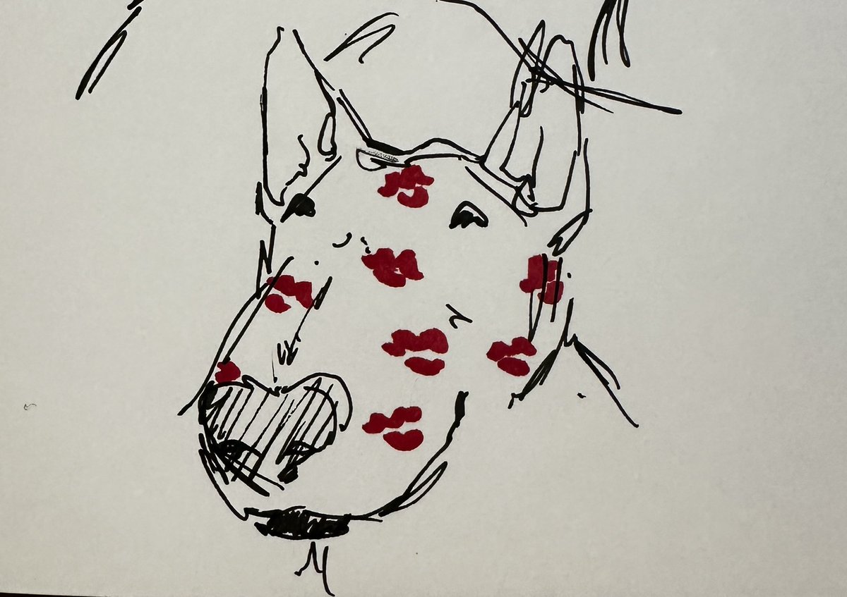 galileosBeast's tweet image. bull terriers is butch4butch