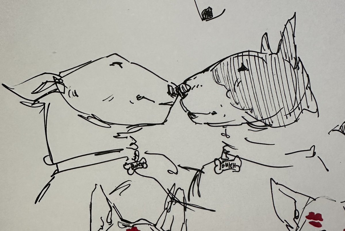 galileosBeast's tweet image. bull terriers is butch4butch